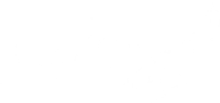 SISKO Hair